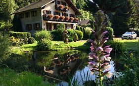 Chambres D'Hotes Des Cascades St-Nicolas